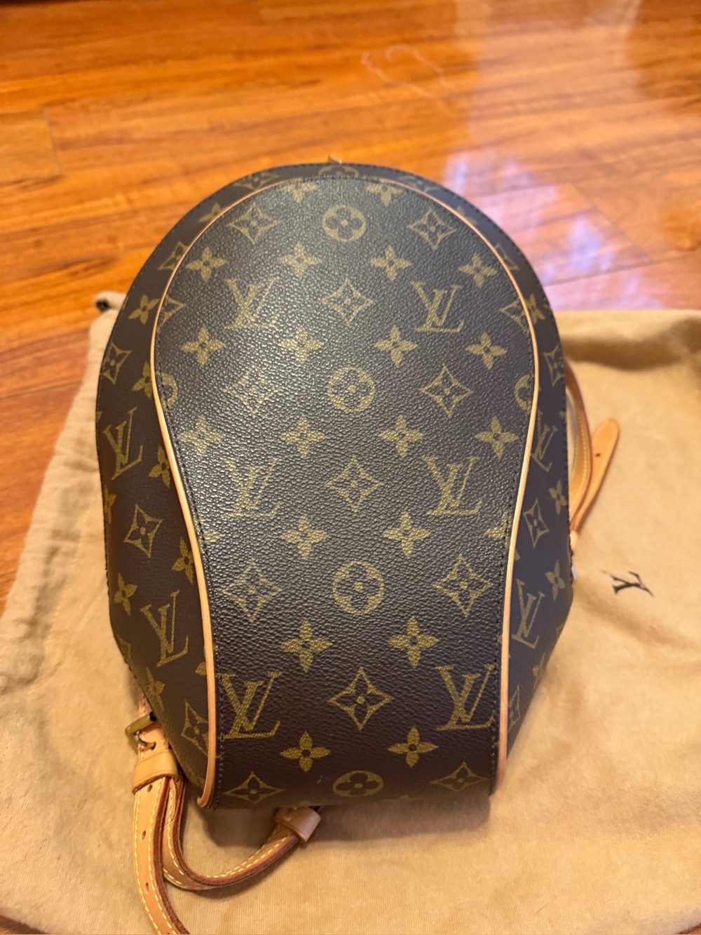 Louis Vuitton Monogram Canvas Mini Backpack in Brown and Tan